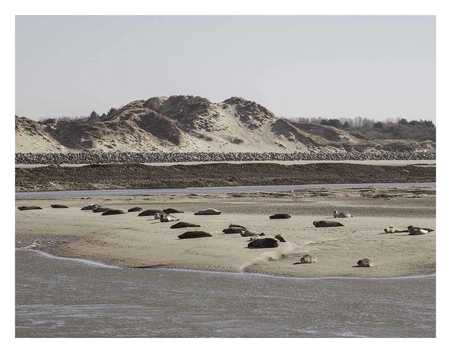 Cottage Proche Du Bord De Mer Et Au Coeur Des Dunes Merlimont-Plage Esterno foto